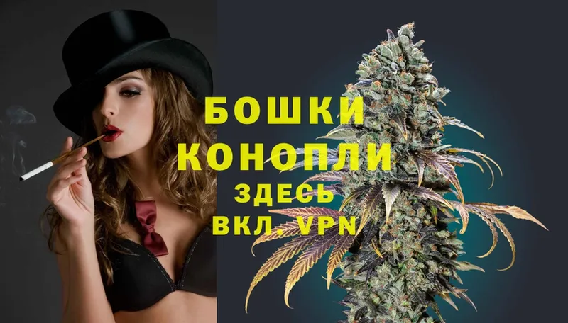 где продают   Ветлуга  Бошки Шишки White Widow 